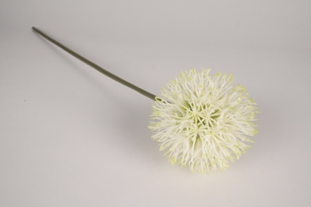 Allium artificiel blanc vert H70cm