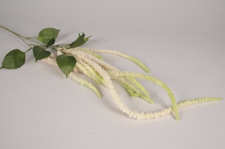 Amaranthe artificielle blanche L132cm