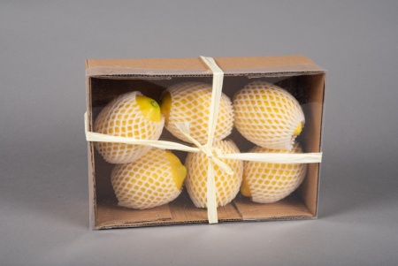Boîte de 6 citrons jaunes artificiels D10cm