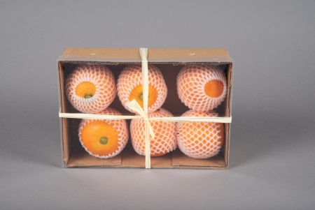 Boîte de 6 oranges artificielles D7cm