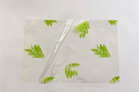 Rame de 250 feuilles de cellophane 25x30cm