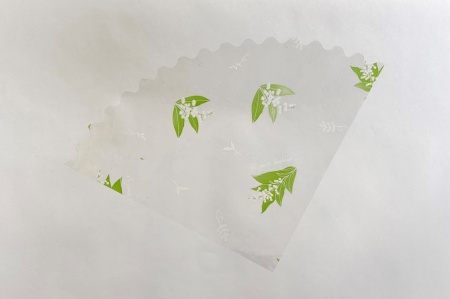 Rame de 250 feuilles de cellophane 24 x 24cm