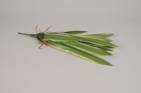 Dracena artificiel vert H40cm