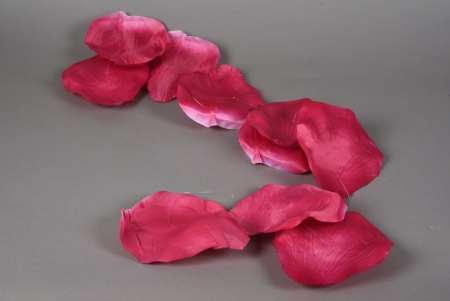 Guirlande de pétales de roses roses D16cm H150cm
