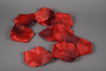 Guirlande de pétales de roses rouges D13cm H150cm