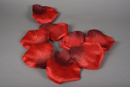 Guirlande de pétales de roses rouges D16cm H150cm