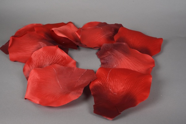 Guirlande de pétales de roses rouges D22cm H150cm