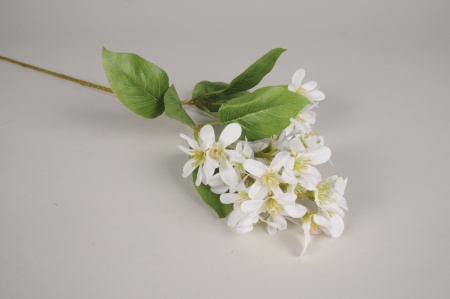 Lilas artificiel blanc H72cm