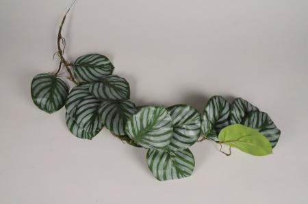 Calathea artificiel vert L100cm