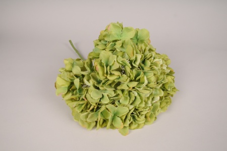 Hortensia artificiel vert H46cm