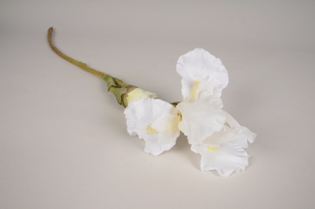 Iris artificiel blanc H79cm