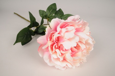 Pivoine artificielle rose et crème H71cm