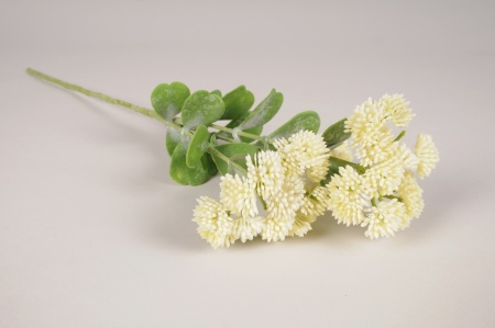 Sedum artificiel crème H56cm