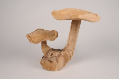 Champignon double en teck H29cm