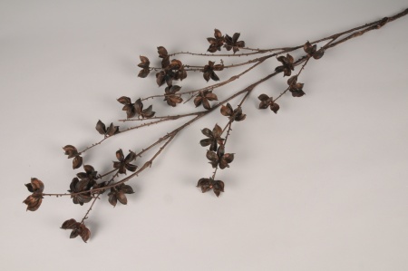 Branche de cotonnier artificiel marron H110cm