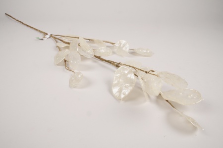 Branche de monnaie du pape artificielle blanc H110cm