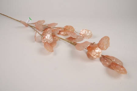 Branche de monnaie du pape artificielle rose H110cm