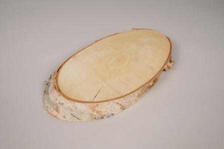 Tranche de bouleau naturel 29x16cm