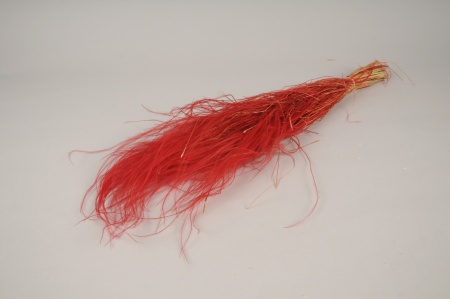 Stipa pennata séché rouge H55cm