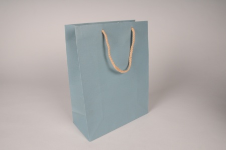 Paquet de 12 sacs kraft bleu 22x10cm H29cm