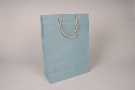 Paquet de 12 sacs kraft bleu 27x12cm H37cm