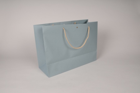 Paquet de 12 sacs kraft bleu 39x15cm H29cm