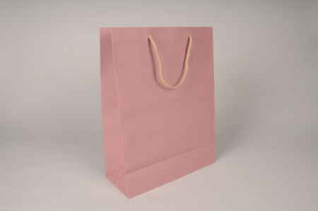 Paquet de 12 sacs kraft rose 27x12cm H37cm