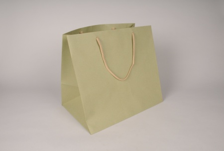 Paquet de 12 sacs kraft vert 35x25cm H32cm