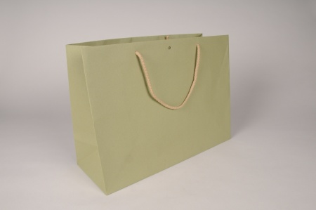 Paquet de 12 sacs kraft vert 39x15cm H29cm