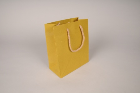 Paquet de 12 sacs kraft jaune 16x8cm H19cm