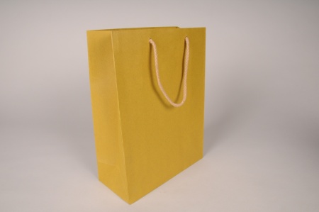 Paquet de 12 sacs kraft jaune 22x10cm H29cm