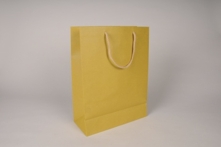 Paquet de 12 sacs kraft jaune 27x12cm H37cm