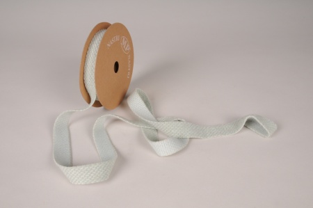Ruban en laine bleu vert pâle 25mm x 7m