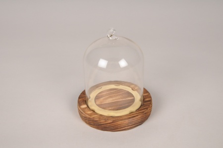 Cloche en verre avec plateau bois D9cm H10.5cm