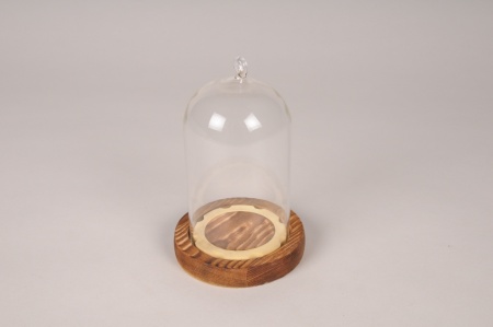 Cloche en verre avec plateau bois D9cm H14cm