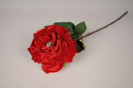 Rose artificielle velours rouge H68cm