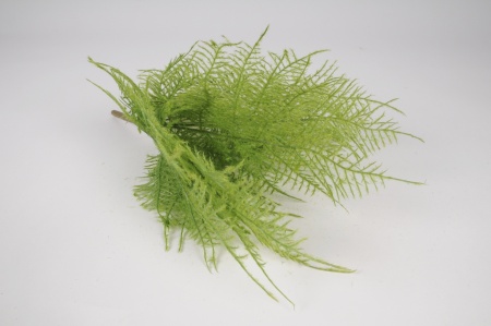 Asparagus artificiel vert H40cm