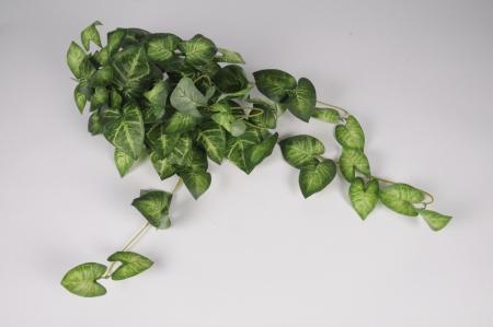 Caladium artificiel vert L100cm