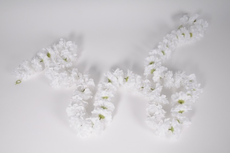 Guirlande de fleurs artificielles blanches L250cm