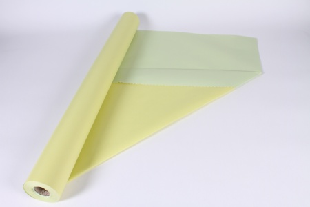 Rouleau de papier kraft anis / vert clair 80cmx50m