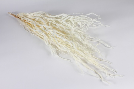 Anao palm séchée blanchie H104cm