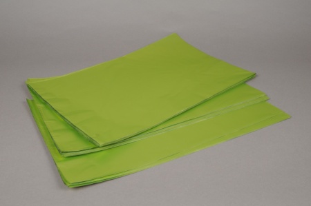Paquet de 50 sachets papier métal  vert pomme 20x35cm
