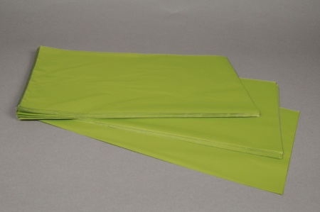 Paquet de 50 sachets papier métal vert pomme 25x40cm