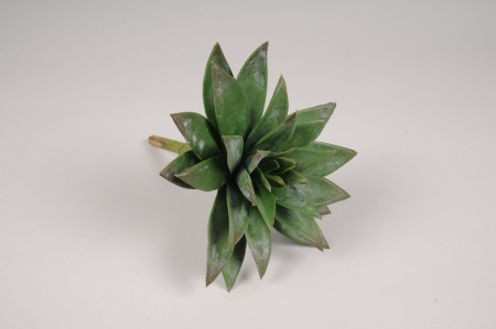 Succulente artificielle verte H23cm