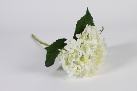 Hortensia artificiel blanc H50cm
