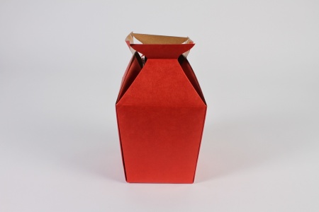 Paquet de 10 vases porte-bouquet rouge 14x14cm H21.5cm
