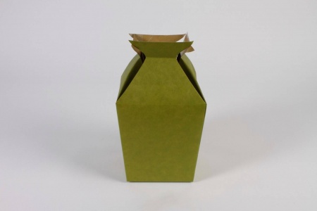 Paquet de 10 vases porte-bouquet vert 14x14cm H21.5cm