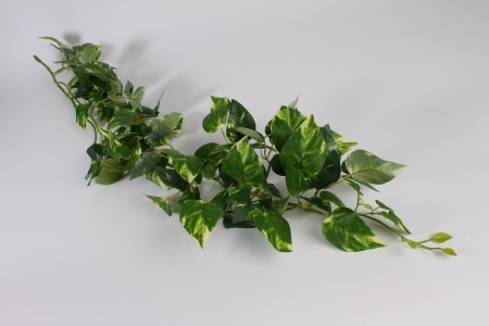 Guirlande de pothos artificiel vert L120cm