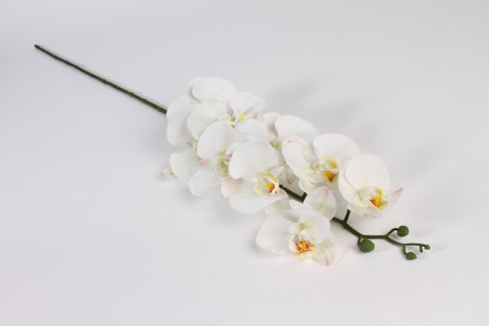 Branche orchidée artificielle blanche H109cm