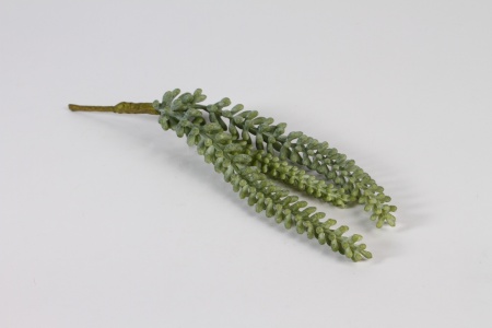 Succulente artificielle verte L38cm